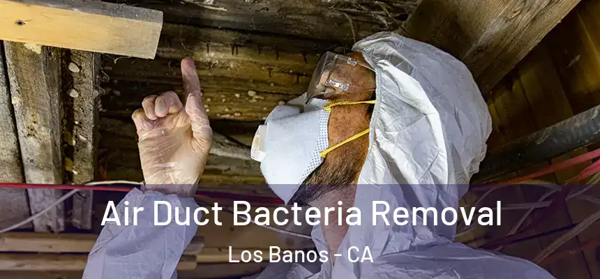 Air Duct Bacteria Removal Los Banos - CA
