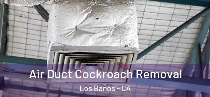  Air Duct Cockroach Removal Los Banos - CA