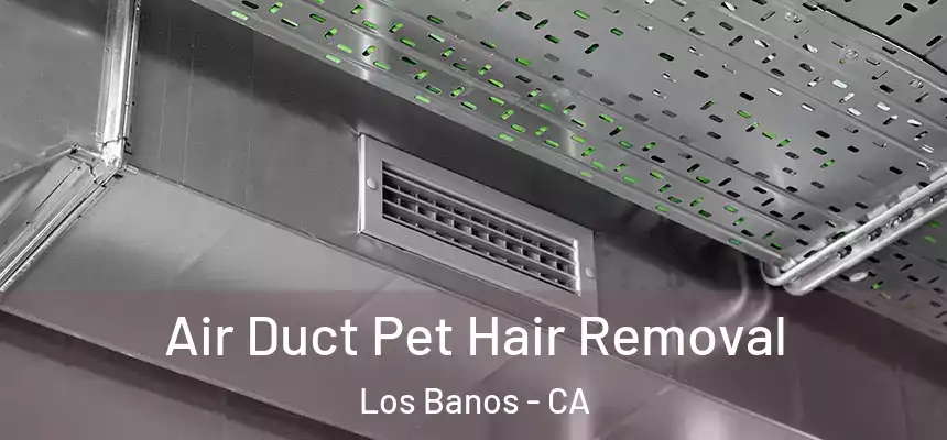  Air Duct Pet Hair Removal Los Banos - CA