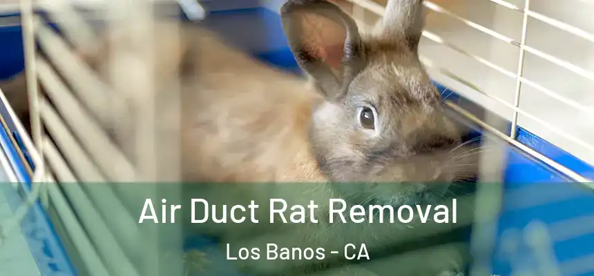  Air Duct Rat Removal Los Banos - CA