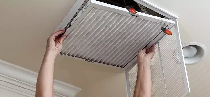 Preventive Cockroach-Proofing for Ducts in Los Banos