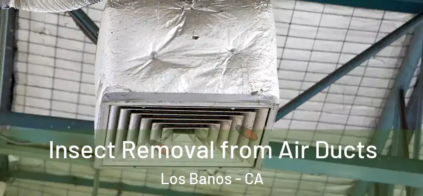  Insect Removal from Air Ducts Los Banos - CA