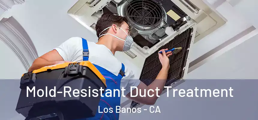  Mold-Resistant Duct Treatment Los Banos - CA