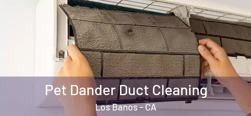  Pet Dander Duct Cleaning Los Banos - CA