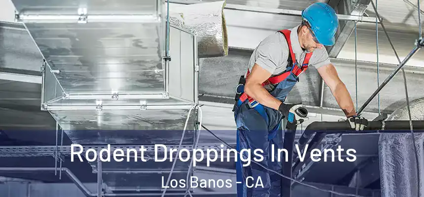  Rodent Droppings In Vents Los Banos - CA