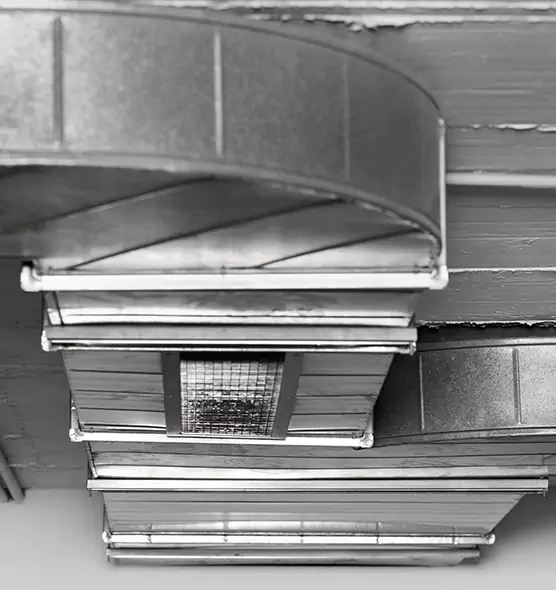 Professional Air Duct Pest Removal in Los Banos, CA