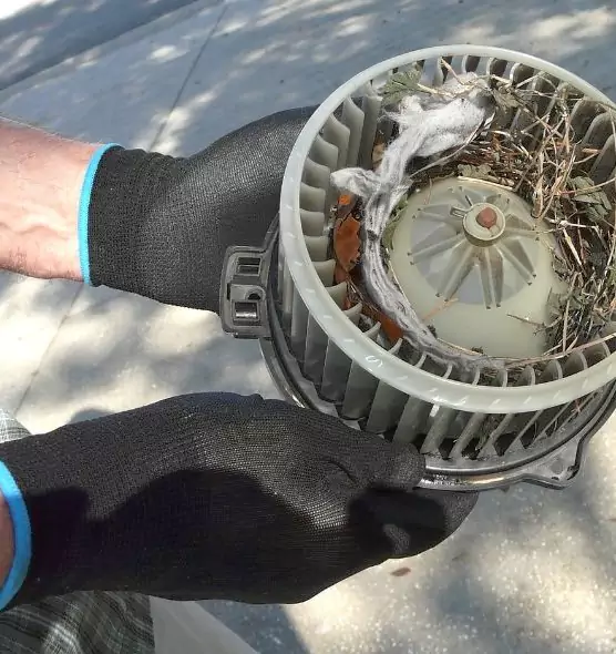 About Air Duct Rat Removal in Los Banos, CA