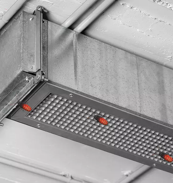 Affordable Insect Removal from Air Ducts in Los Banos, CA